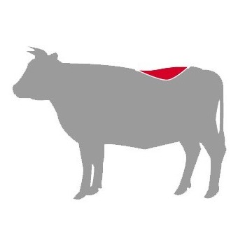 Solomillo de vacuno